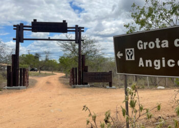 Ações de combate à desertificação na Caatinga são destaques no Monumento Natural Grota do Angico