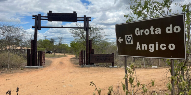 Ações de combate à desertificação na Caatinga são destaques no Monumento Natural Grota do Angico