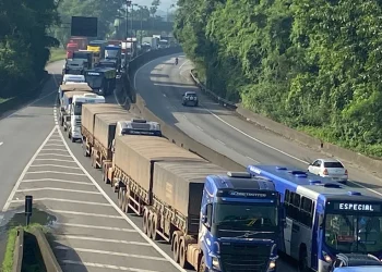Senatran vai notificar 3,4 milhões de motoristas das categorias C, D e E que não realizaram exame toxicológico