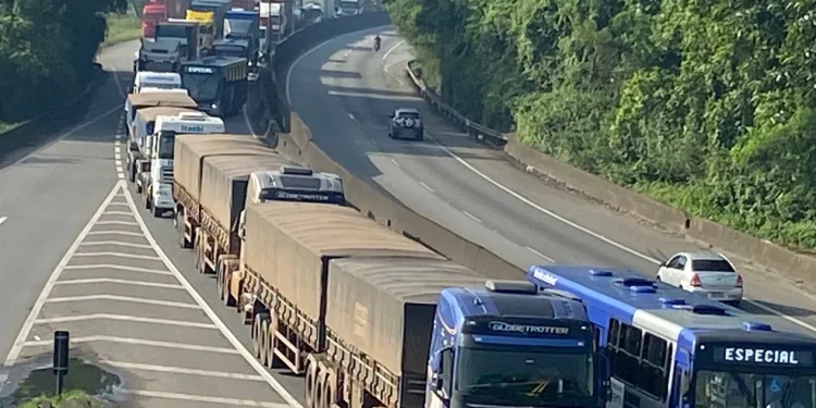 Senatran vai notificar 3,4 milhões de motoristas das categorias C, D e E que não realizaram exame toxicológico