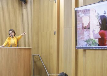 “Se Edvaldo fizesse o dever de casa, minimizaria os transtornos das chuvas”, afirma Emília