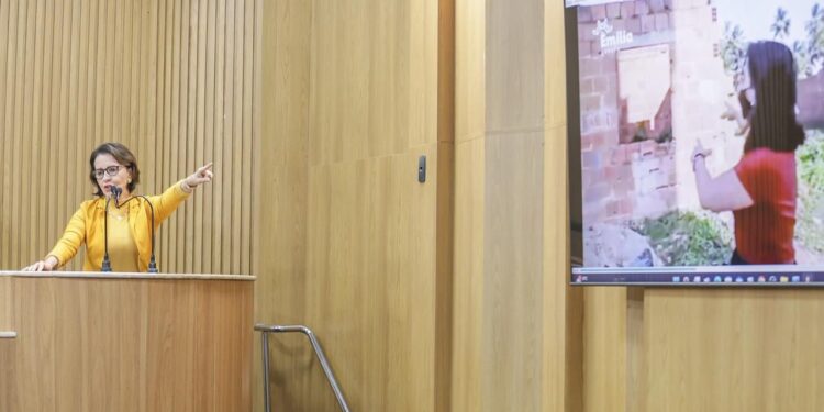 “Se Edvaldo fizesse o dever de casa, minimizaria os transtornos das chuvas”, afirma Emília