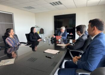 Eleições 2024: MP/SE e MPF discutem planejamento para atuação conjunta