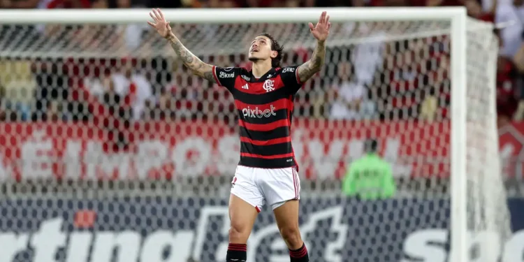 Pedro decide e Fla derrota Millonarios para avançar na Libertadores