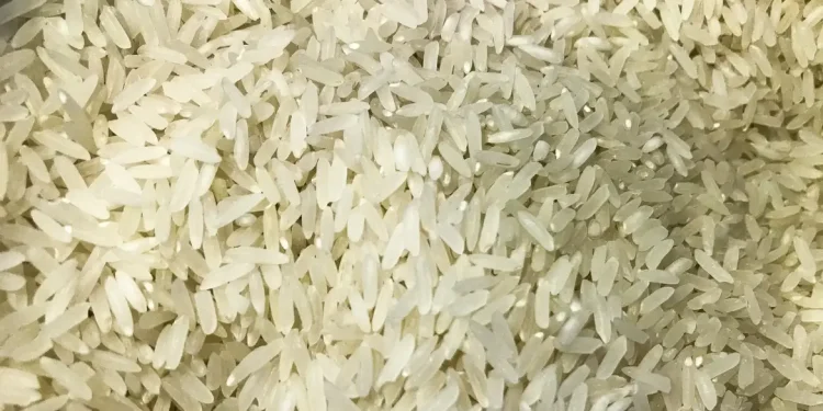 Camex zera tarifa de importação para garantir abastecimento de arroz