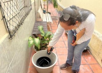 Combate ao Aedes: Prefeitura inicia coleta do terceiro LIRAa de 2024