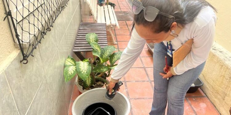 Combate ao Aedes: Prefeitura inicia coleta do terceiro LIRAa de 2024