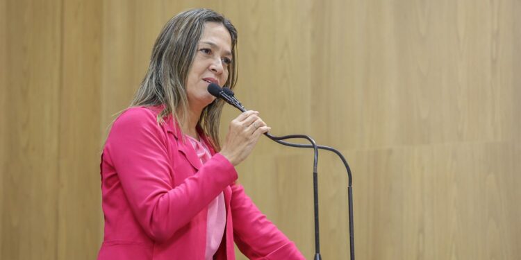 Sheyla pede esclarecimentos sobre prevenção a enchentes em Aracaju