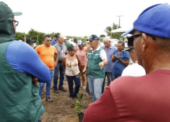 Emdagro apresenta novas tecnologias no plantio de laranja para citricultores do sul sergipano