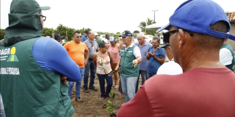Emdagro apresenta novas tecnologias no plantio de laranja para citricultores do sul sergipano
