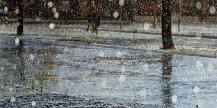 Saúde reforça cuidados preventivos contra a leptospirose