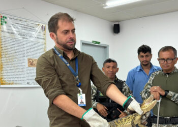 Equipe da Adema ministra palestra sobre técnicas de captura e manejo de animais silvestres em Socorro