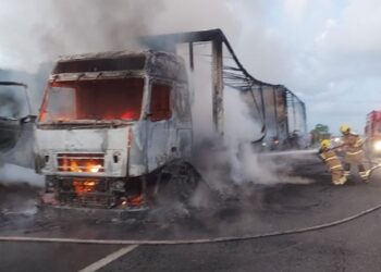 Carreta carregada com fraldas pega fogo na BR-101, em Estância