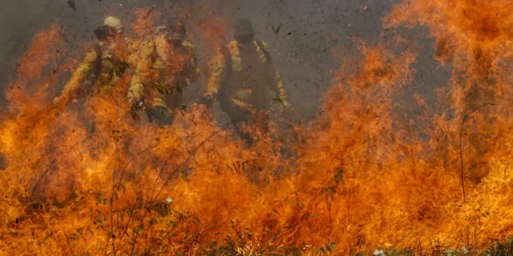 Pantanal acumula em 12 meses mais de 9 mil focos de incêndio