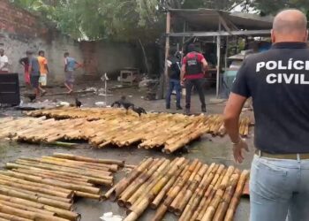 Fábrica ilegal de fogos de artifício é interditada em Estância