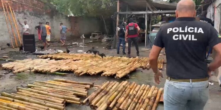 Fábrica ilegal de fogos de artifício é interditada em Estância