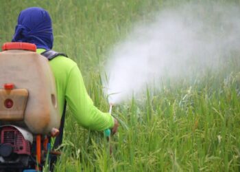 Glória sedia debate sobre comercialização de agrotóxico