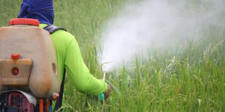 Glória sedia debate sobre comercialização de agrotóxico