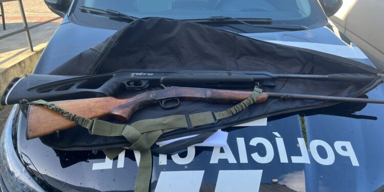 Polícia Civil apreende duas armas de fogo em cumprimento a mandado de busca em torno de violência doméstica em Socorro