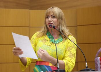 Linda Brasil destaca realização da 28ª Parada do Orgulho LGBT+ em SP