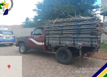 PM apreende madeira sem documento de origem florestal em Canindé de São Francisco