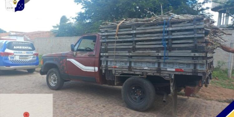 PM apreende madeira sem documento de origem florestal em Canindé de São Francisco
