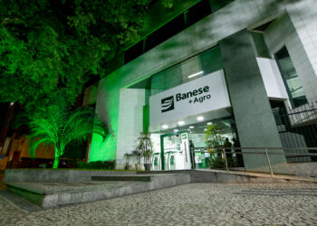 Banese bate recorde e destina R$ 100 milhões para o custeio de milho em ano agrícola