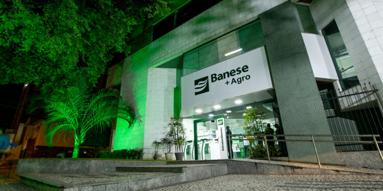 Banese bate recorde e destina R$ 100 milhões para o custeio de milho em ano agrícola