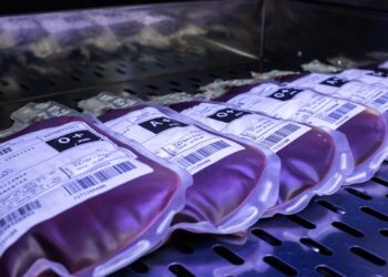 Hemose intensifica ações para ampliar doações de sangue durante o Junho Vermelho