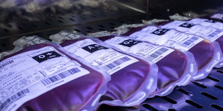 Hemose intensifica ações para ampliar doações de sangue durante o Junho Vermelho