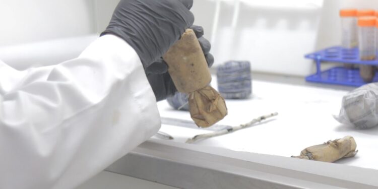 Fogos de artifício adulterados ou falsificados podem gerar explosões e acidentes graves, alerta Polícia Científica