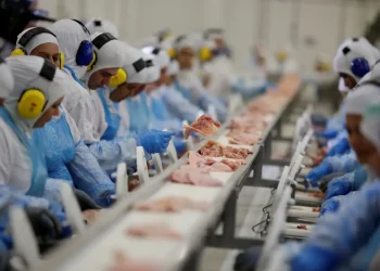 Indústria de alimentos é a que mais emprega no Brasil, diz IBGE