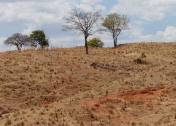 Estados vão contar com apoio financeiro da Sudene no enfrentamento à desertificação