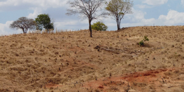Estados vão contar com apoio financeiro da Sudene no enfrentamento à desertificação