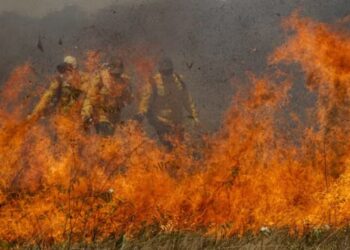 ‘Os incêndios são todos por ação humana’, afirma cientista da Embrapa-Pantanal