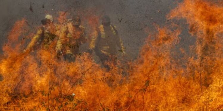 ‘Os incêndios são todos por ação humana’, afirma cientista da Embrapa-Pantanal