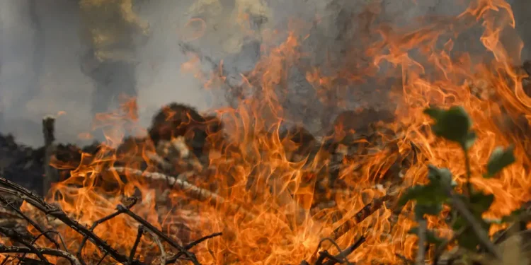 Quase 1/4 do território brasileiro pegou fogo nos últimos 40 anos
