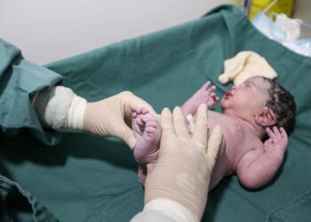 PMA já realizou mais de 2.500 testes do pezinho e reforça importância do exame