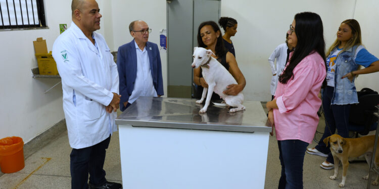 Prefeitura de São Cristóvão inicia castração gratuita de cães e gatos em parceria com a UFS e FAPESE