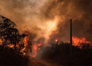 Neste ano, queimadas no Pantanal aumentam 980%