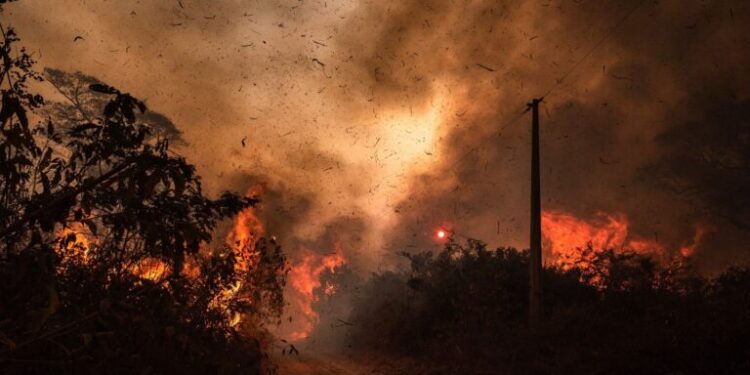 Neste ano, queimadas no Pantanal aumentam 980%