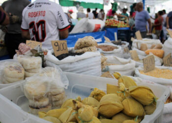 Feira Junina da Ceasa Aracaju acontece de 8 a 29 de junho