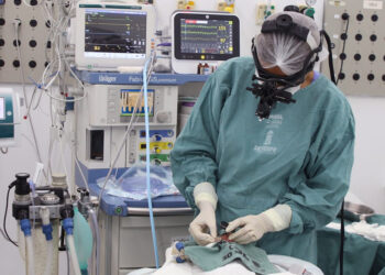 Saúde oferta cirurgia a laser para tratamento de doença da retina em bebês prematuros