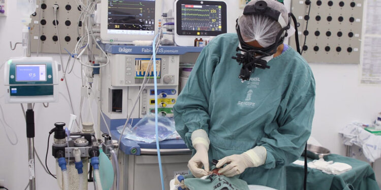 Saúde oferta cirurgia a laser para tratamento de doença da retina em bebês prematuros