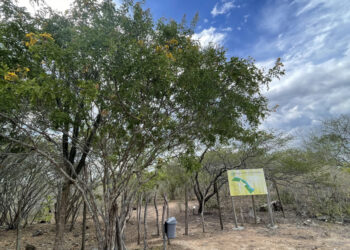 Análise da Semac indica que não houve registro de seca em Sergipe no mês de maio