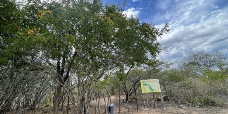 Análise da Semac indica que não houve registro de seca em Sergipe no mês de maio