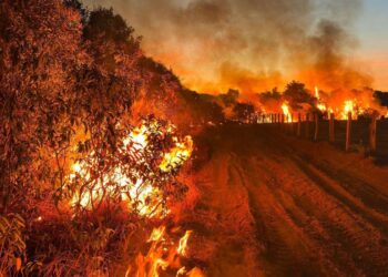 Pantanal supera em um único dia o total de queimadas de julho de 2023