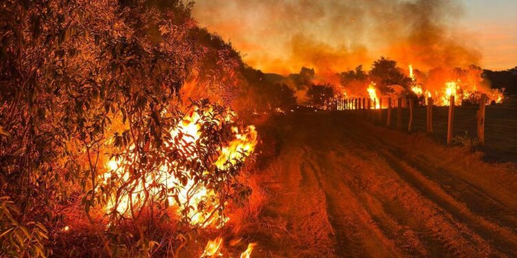 Pantanal supera em um único dia o total de queimadas de julho de 2023