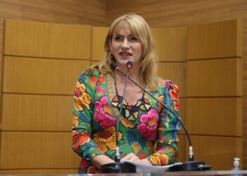 Linda Brasil destaca desafios na implementação de Leis sobre Doulas e Violência Doméstica