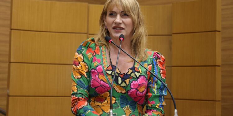 Linda Brasil destaca desafios na implementação de Leis sobre Doulas e Violência Doméstica